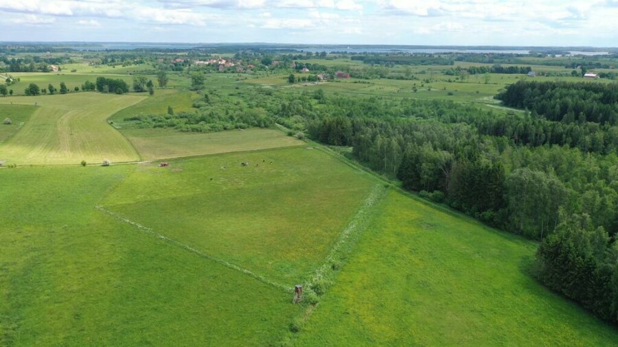 węgorzewski, Węgorzewo, Róże, Działka rolna z Warunkami Zabudowy w m. Róże gm Węgorzewo
