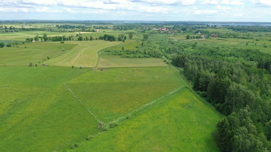 węgorzewski, Węgorzewo, Róże, Działka rolna z Warunkami Zabudowy w m. Róże gm Węgorzewo