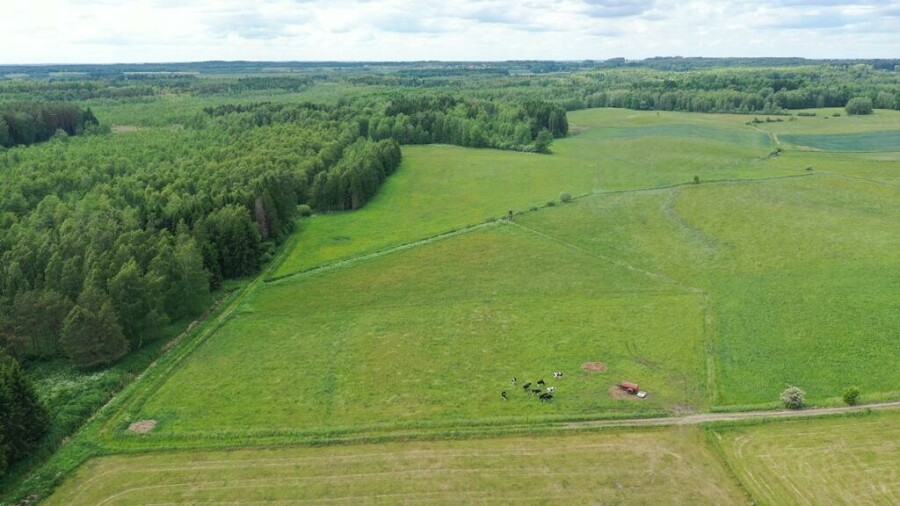 węgorzewski, Węgorzewo, Róże, Działka rolna z Warunkami Zabudowy w m. Róże gm Węgorzewo
