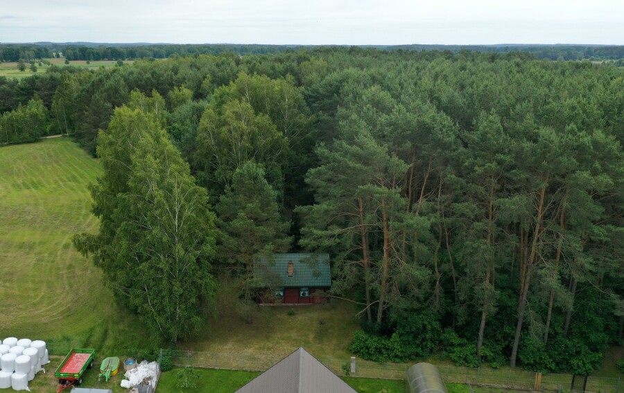 kolneński, Turośl, Cieciory, Domek ukryty w małym lesie, blisko rzeki, Cieciory gm. Turośl