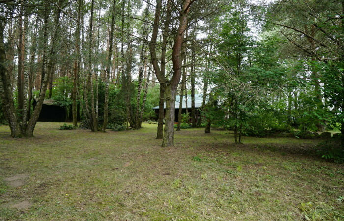 kolneński, Turośl, Cieciory, Domek ukryty w małym lesie, blisko rzeki, Cieciory gm. Turośl