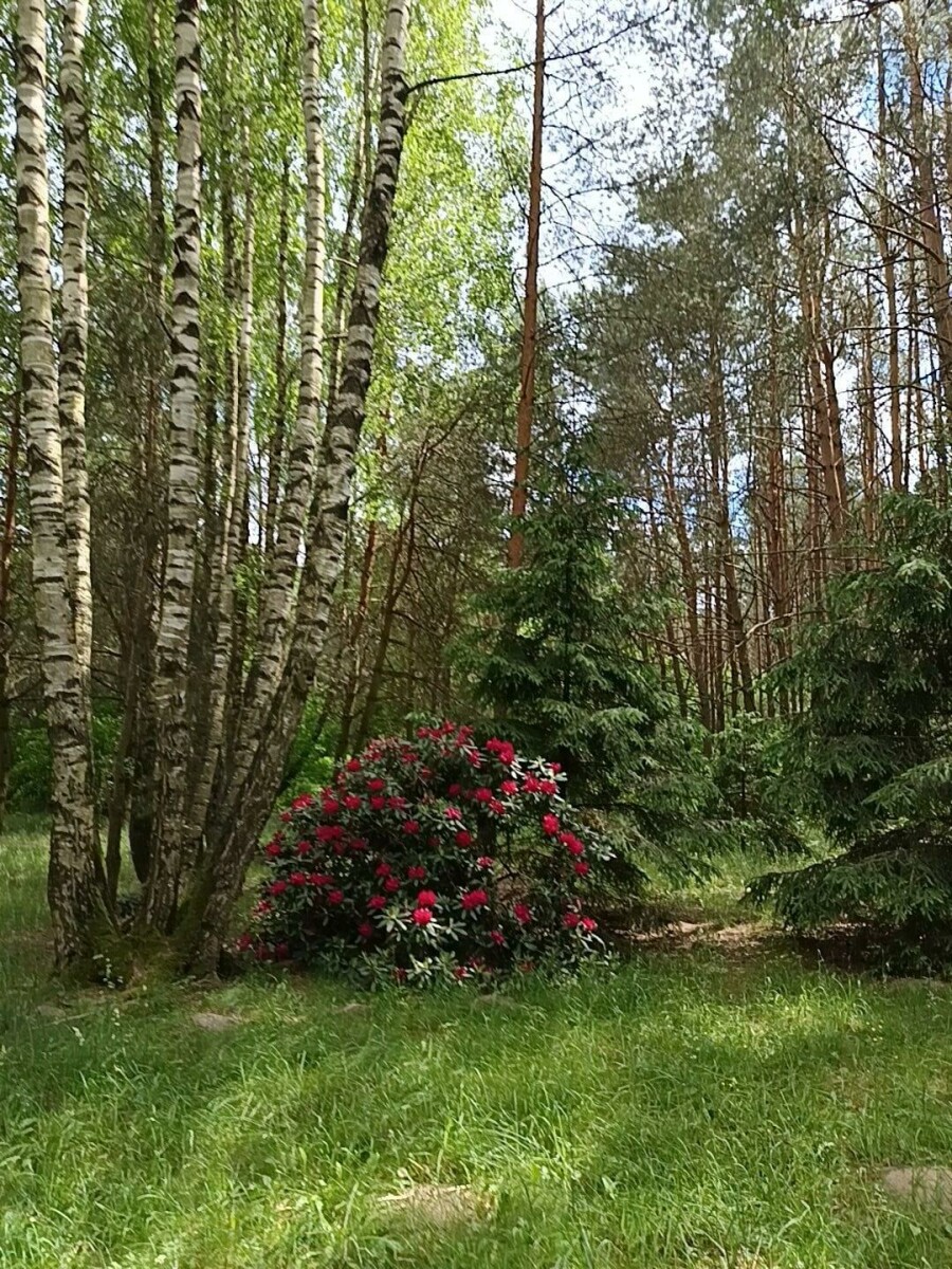 kolneński, Turośl, Cieciory, Domek ukryty w małym lesie, blisko rzeki, Cieciory gm. Turośl