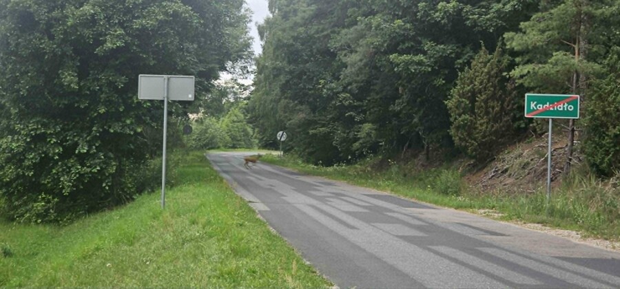 ostrołęcki, Kadzidło, Działka z widokiem na las, 1810m2 w Kadzidle