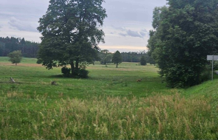 ostrołęcki, Kadzidło, Działka z widokiem na las, 1810m2 w Kadzidle
