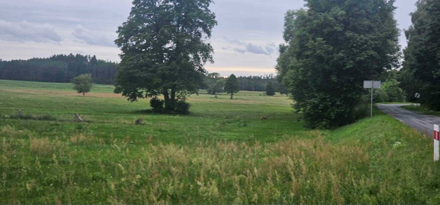 ostrołęcki, Kadzidło, Działka z widokiem na las, 1810m2 w Kadzidle