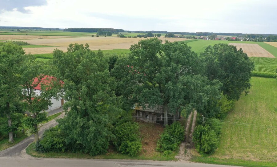 wysokomazowiecki, Wysokie Mazowieckie, Jabłonka-Świerczewo, Spokojna wieś, duża działka i nieograniczone możliwości
