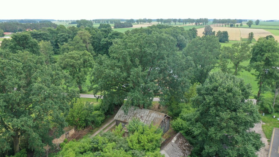 wysokomazowiecki, Wysokie Mazowieckie, Jabłonka-Świerczewo, Spokojna wieś, duża działka i nieograniczone możliwości