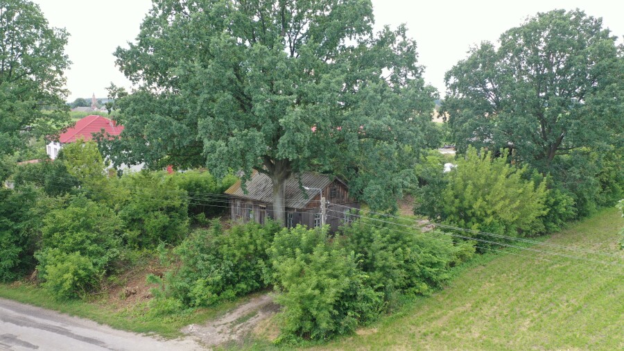 wysokomazowiecki, Wysokie Mazowieckie, Jabłonka-Świerczewo, Spokojna wieś, duża działka i nieograniczone możliwości