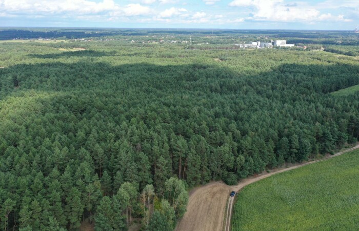 ostrołęcki, Olszewo-Borki, Nakły, Działka leśna w Nakłach