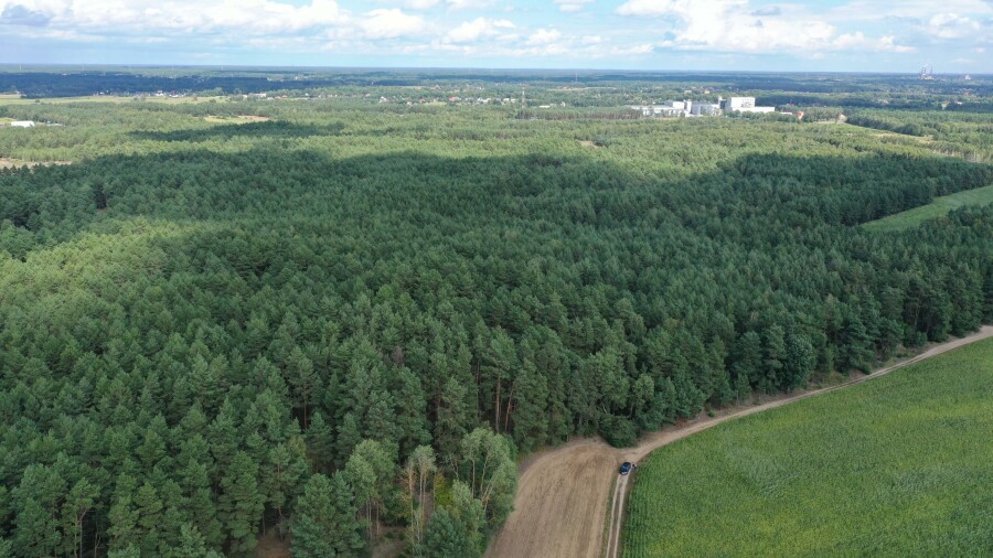 ostrołęcki, Olszewo-Borki, Nakły, Działka leśna w Nakłach