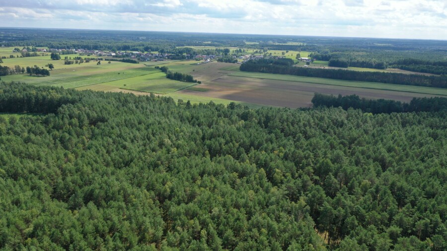 ostrołęcki, Olszewo-Borki, Nakły, Działka leśna w Nakłach