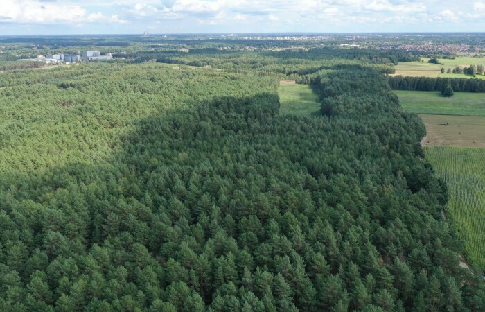 ostrołęcki, Olszewo-Borki, Nakły, Działka leśna w Nakłach