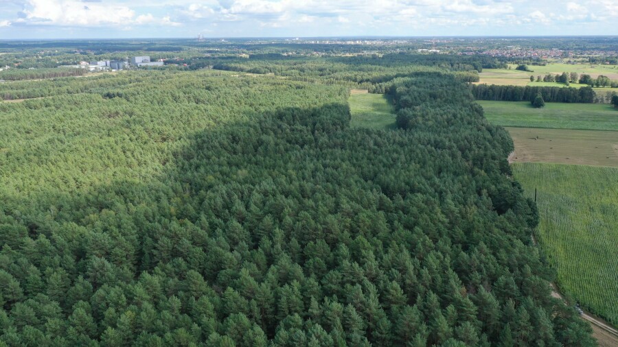 ostrołęcki, Olszewo-Borki, Nakły, Działka leśna w Nakłach