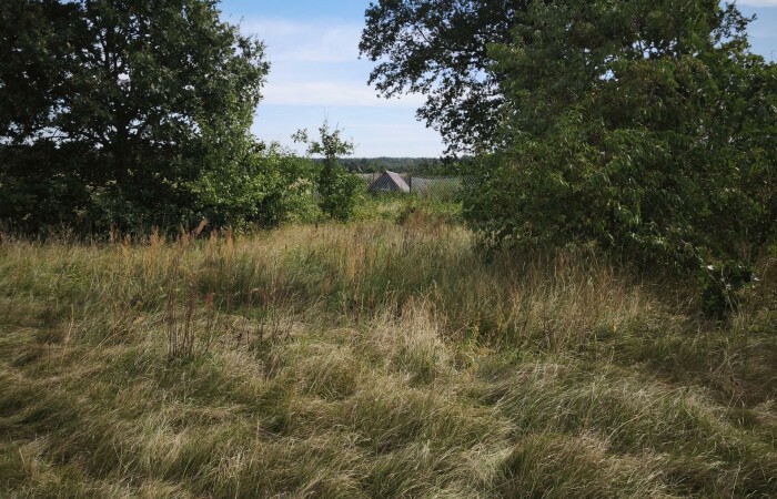 Strzemieczne-Wiosny, Młynarze, Działka na sprzedaż