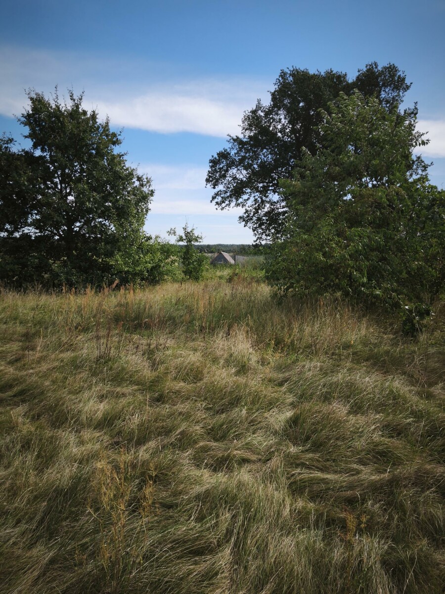 makowski, Młynarze, Strzemieczne-Wiosny, DZAŁKA  W STRZEMIECZNE-WIOSNY-CISZA, NATURA,DOGODNY DOJAZD