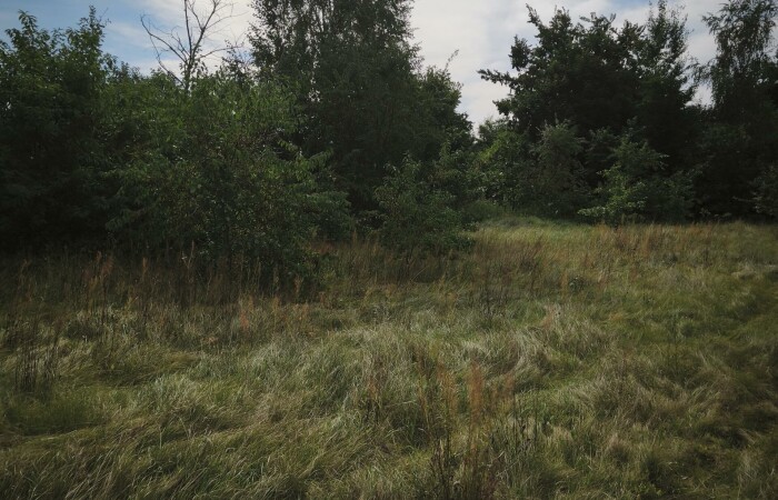 makowski, Młynarze, Strzemieczne-Wiosny, DZAŁKA  W STRZEMIECZNE-WIOSNY-CISZA, NATURA,DOGODNY DOJAZD