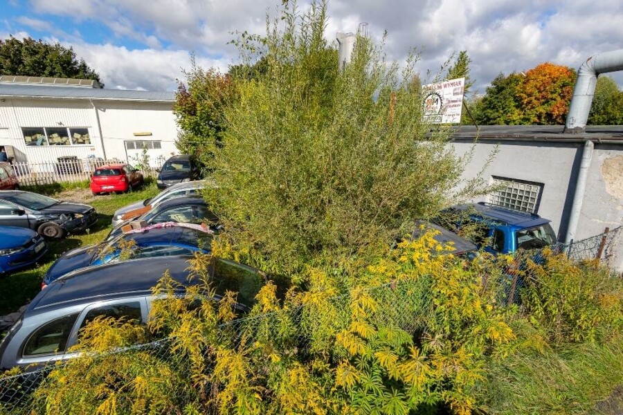 giżycki, Giżycko, Obwodowa, Działka usługowa 703 m² w Giżycku | rejon ul. Obwodowej