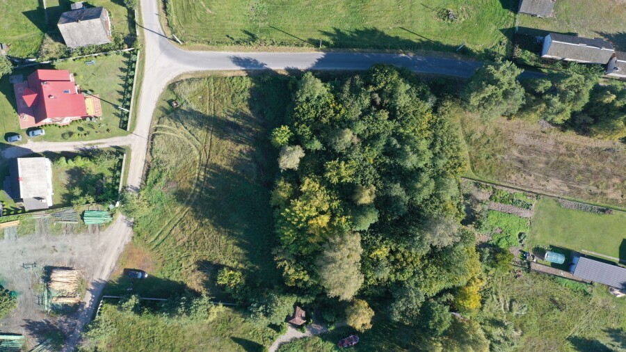 ostrołęcki, Lelis, Siemnocha, Zainwestuj w naturę- 5400m2 ziemi z własnym lasem - Siemnocha zaprasza
