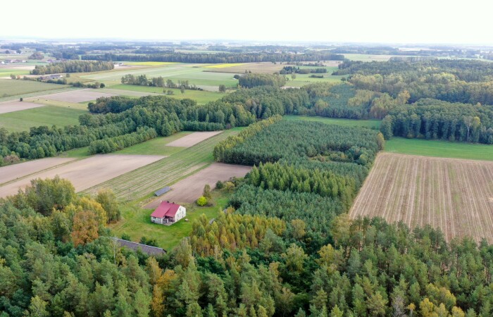 łomżyński, Przytuły, Kubra-Przebudówka, Siedlisko otoczone lasem Kubra-Przebudówka niedaleko Biebrzańskiego PN
