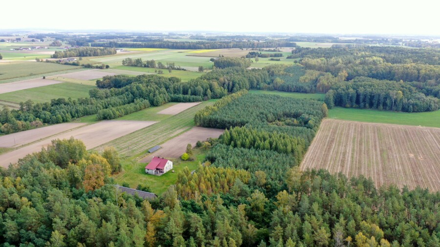 łomżyński, Przytuły, Kubra-Przebudówka, Siedlisko otoczone lasem Kubra-Przebudówka niedaleko Biebrzańskiego PN