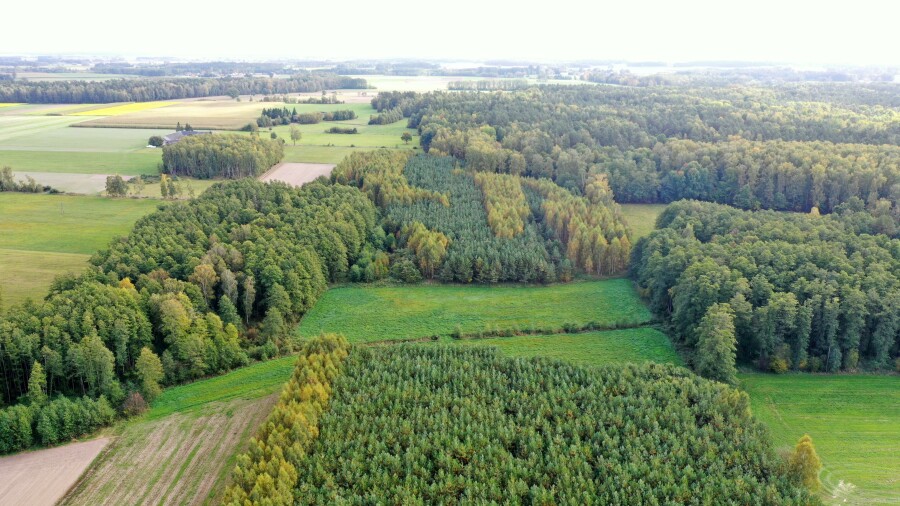 łomżyński, Przytuły, Kubra-Przebudówka, Siedlisko otoczone lasem Kubra-Przebudówka niedaleko Biebrzańskiego PN