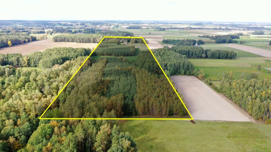 łomżyński, Przytuły, Kubra-Przebudówka, Siedlisko otoczone lasem Kubra-Przebudówka niedaleko Biebrzańskiego PN
