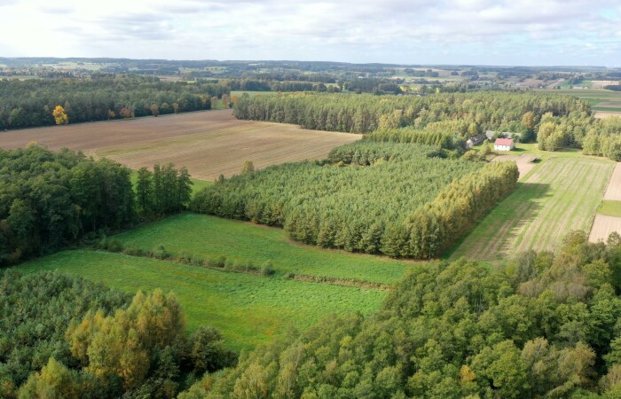 łomżyński, Przytuły, Kubra-Przebudówka, Siedlisko otoczone lasem z dużą działką niedaleko Biebrzańskiego PN