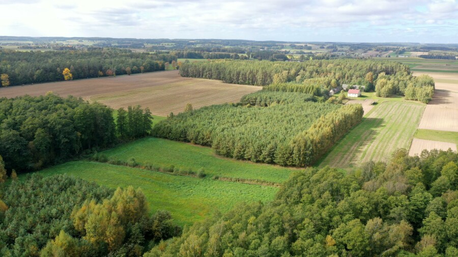 łomżyński, Przytuły, Kubra-Przebudówka, Siedlisko otoczone lasem z dużą działką niedaleko Biebrzańskiego PN