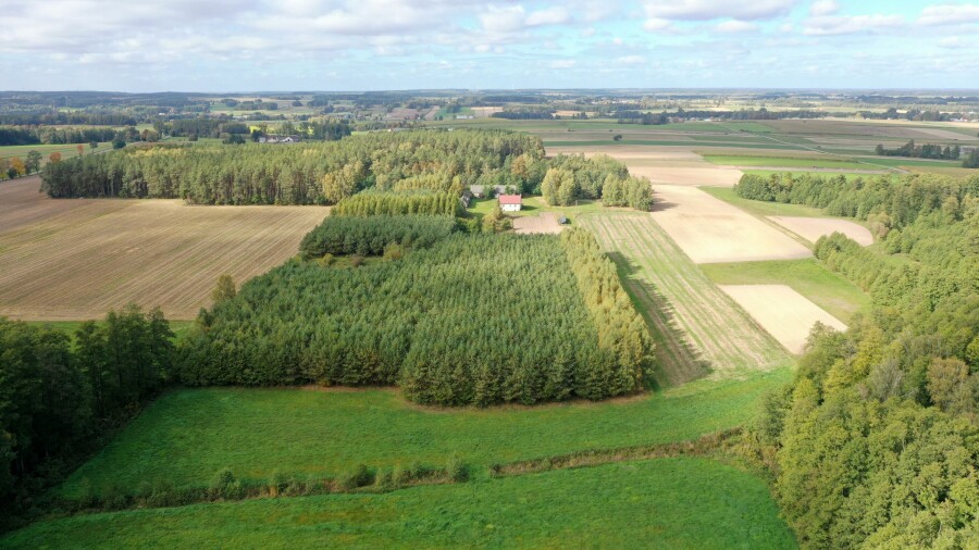 łomżyński, Przytuły, Kubra-Przebudówka, Siedlisko otoczone lasem z dużą działką niedaleko Biebrzańskiego PN