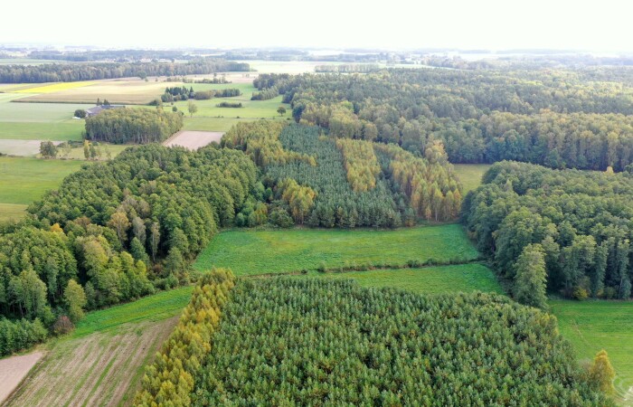 łomżyński, Przytuły, Kubra-Przebudówka, Siedlisko otoczone lasem z dużą działką niedaleko Biebrzańskiego PN