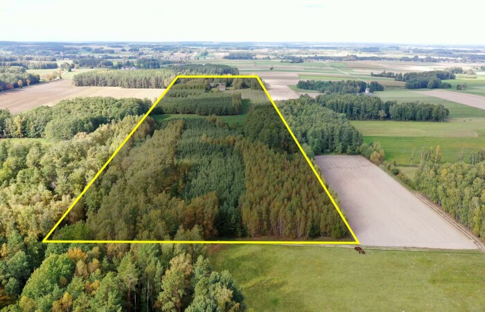 łomżyński, Przytuły, Kubra-Przebudówka, Siedlisko otoczone lasem z dużą działką niedaleko Biebrzańskiego PN