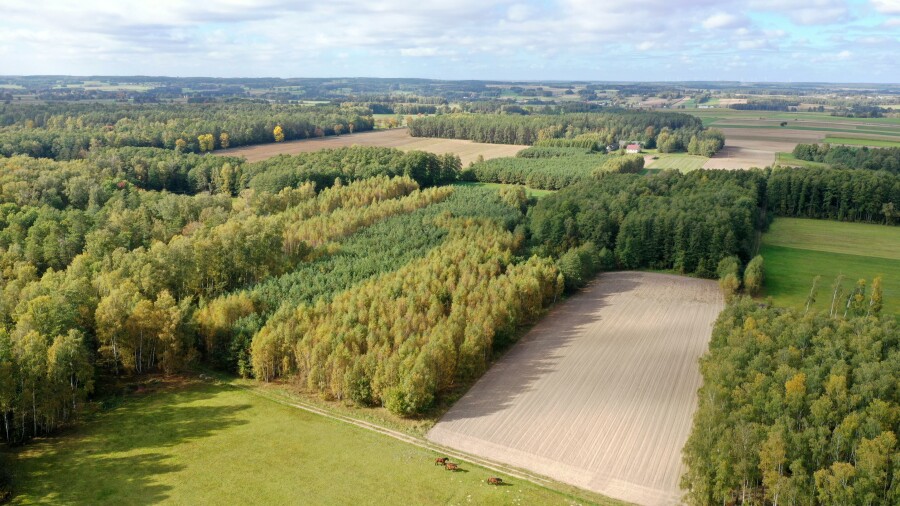 łomżyński, Przytuły, Kubra-Przebudówka, Siedlisko otoczone lasem z dużą działką niedaleko Biebrzańskiego PN