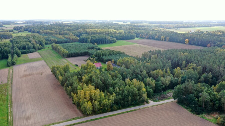 łomżyński, Przytuły, Kubra-Przebudówka, Siedlisko otoczone lasem z dużą działką niedaleko Biebrzańskiego PN
