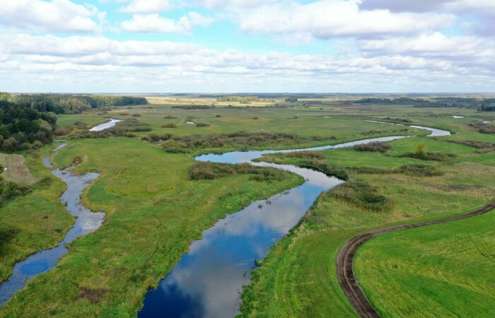 łomżyński, Przytuły, Kubra-Przebudówka, Siedlisko otoczone lasem z dużą działką niedaleko Biebrzańskiego PN