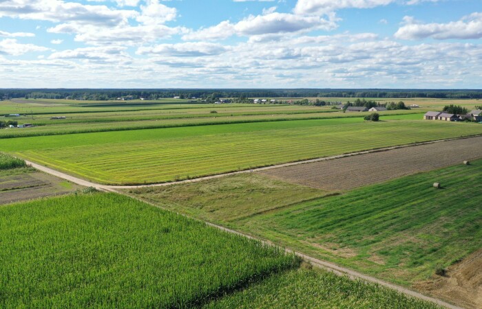 kolneński, Kolno, Czerwone, Działka z warunkami zabudowy – blisko miasta, idealna pod dom