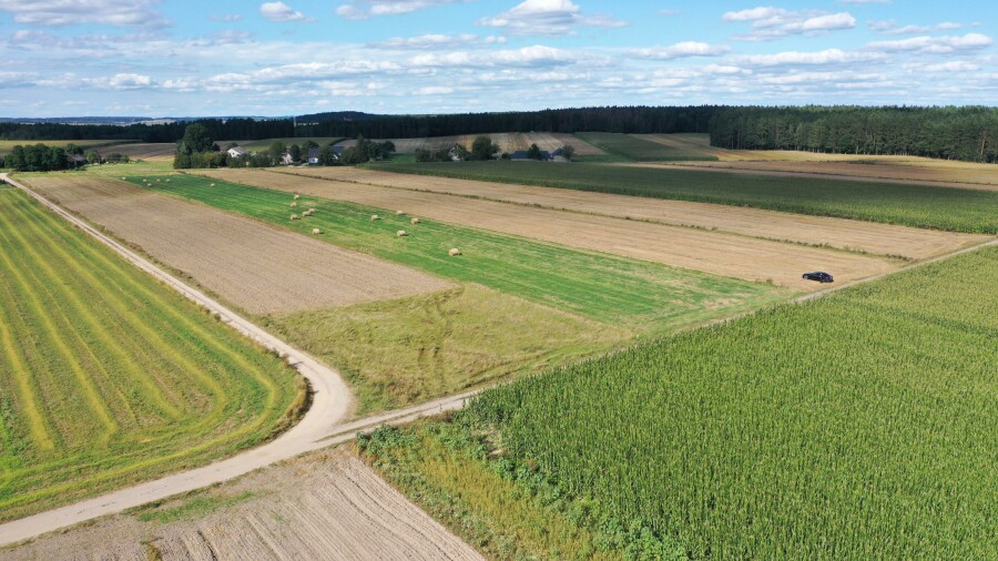 kolneński, Kolno, Czerwone, Działka z warunkami zabudowy – blisko miasta, idealna pod dom