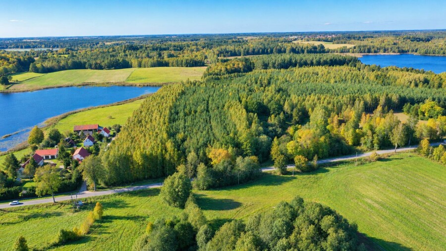 giżycki, Kruklanki, Żywki, Własny las w sercu Mazur w pobliżu jeziora